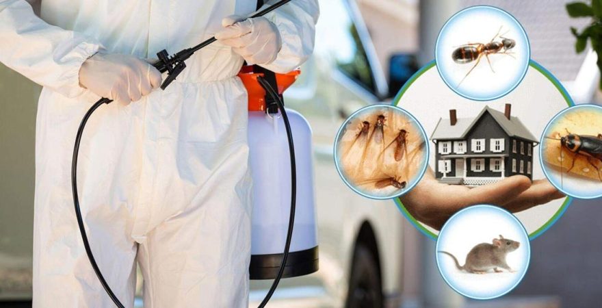 Burhaniye Böcek İlaçlama