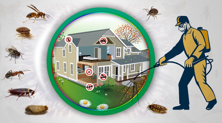 Burhaniye Böcek İlaçlama