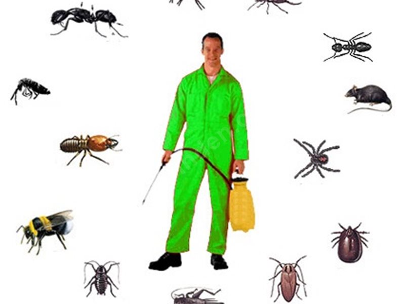 Burhaniye Böcek İlaçlama